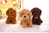 Puppy Toy Poodle Curly Teddy Dog Plush Animals - Tophatter Daily Deals