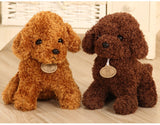 Puppy Toy Poodle Curly Teddy Dog Plush Animals - Tophatter Daily Deals