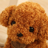 Puppy Toy Poodle Curly Teddy Dog Plush Animals - Tophatter Daily Deals
