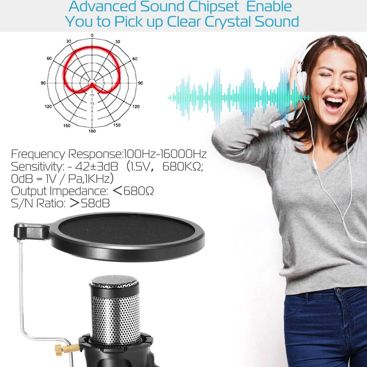 Professional Condenser Studio Recording Microphone Audio Accessories - Tophatter Daily Deals