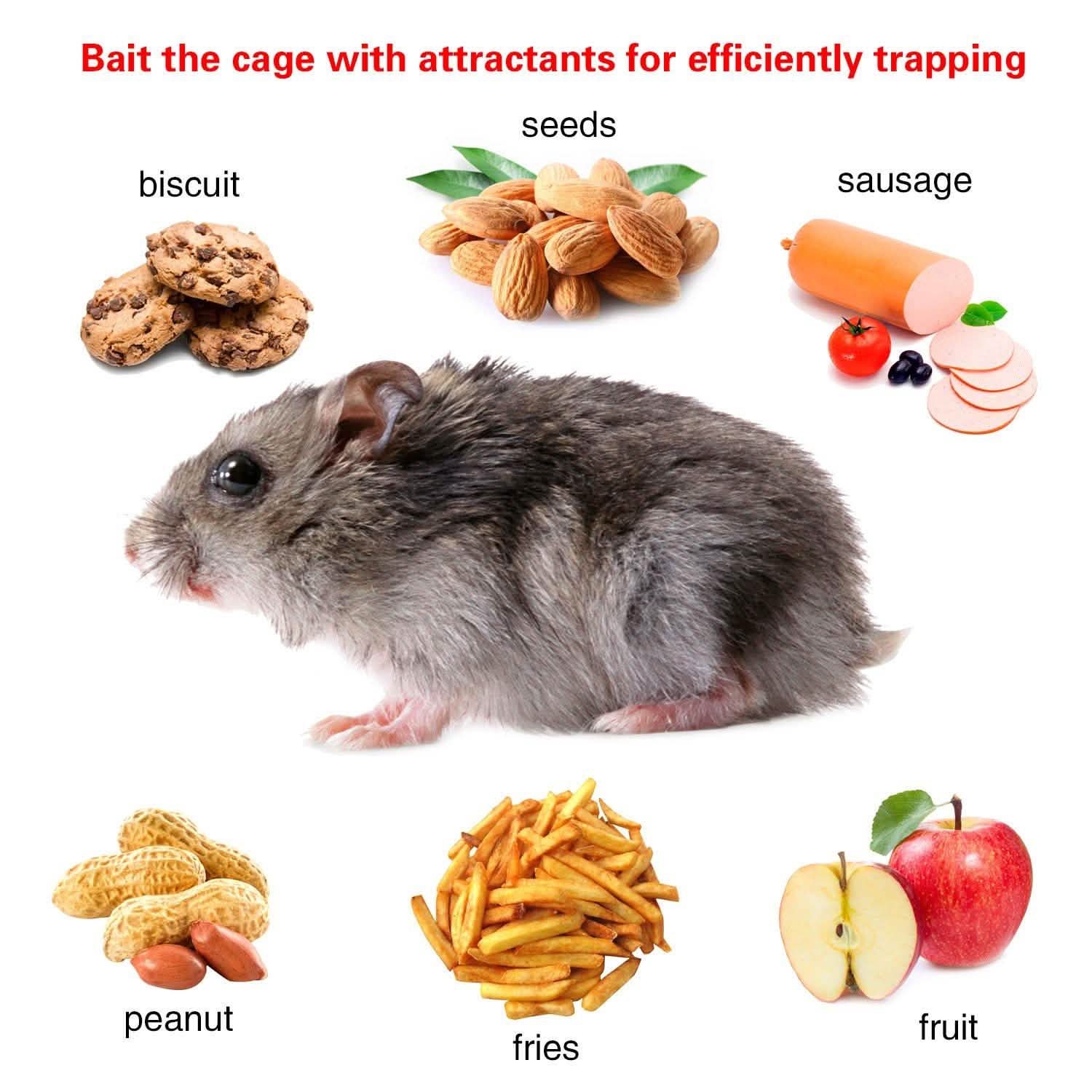 Rat Trap Cage Humane Live Rodent Pest Control - Tophatter Daily Deals
