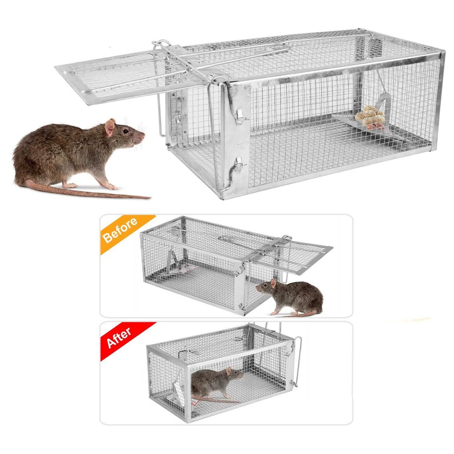 Rat Trap Cage Humane Live Rodent Pest Control - Tophatter Daily Deals