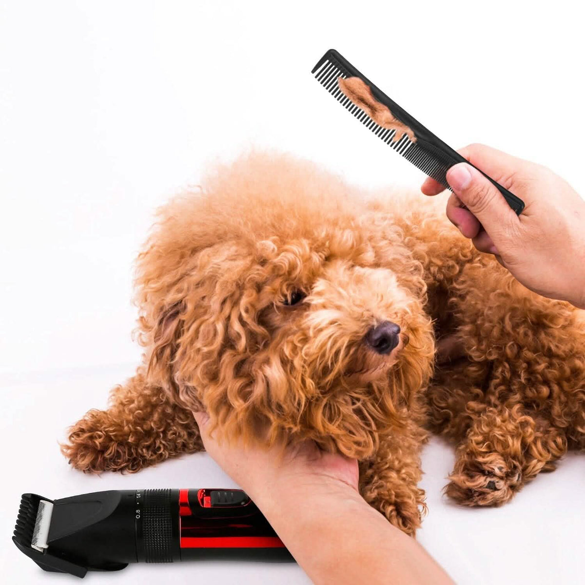 Rechargeable Cordless Pet Grooming Kit Pet Supplies - Tophatter Daily Deals