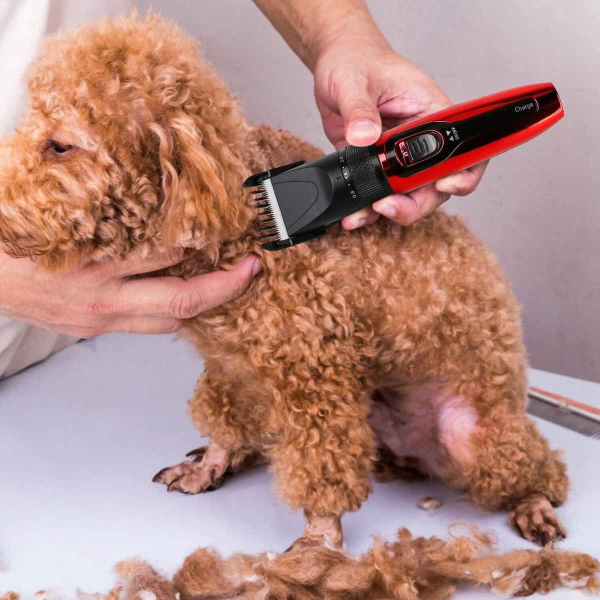 Rechargeable Cordless Pet Grooming Kit Pet Supplies - Tophatter Daily Deals