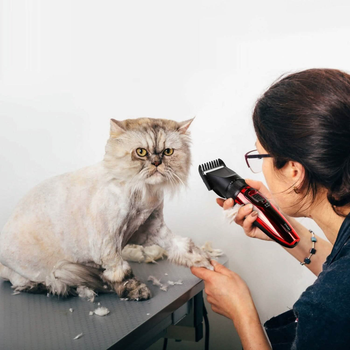 Rechargeable Cordless Pet Grooming Kit Pet Supplies - Tophatter Daily Deals