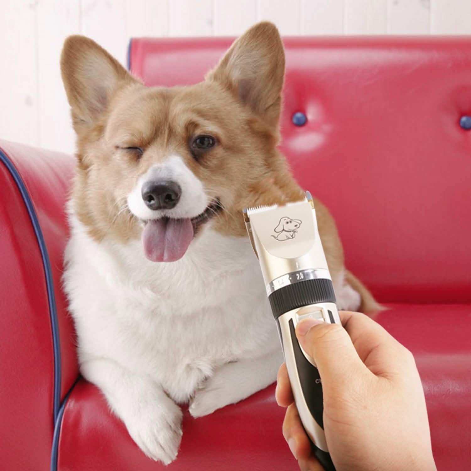Rechargeable Electric Pet Hair Clipper Pet Supplies - Tophatter Daily Deals