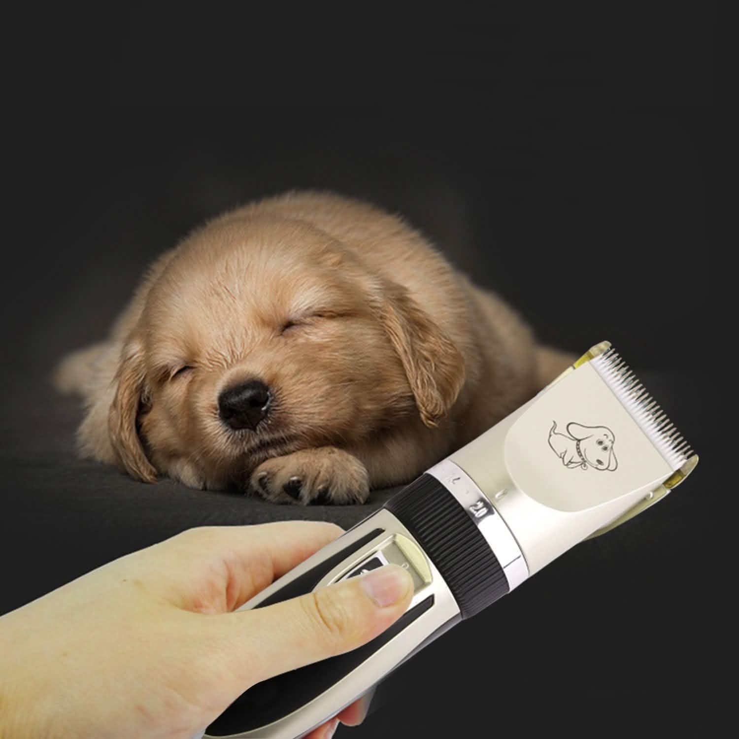 Rechargeable Electric Pet Hair Clipper Pet Supplies - Tophatter Daily Deals