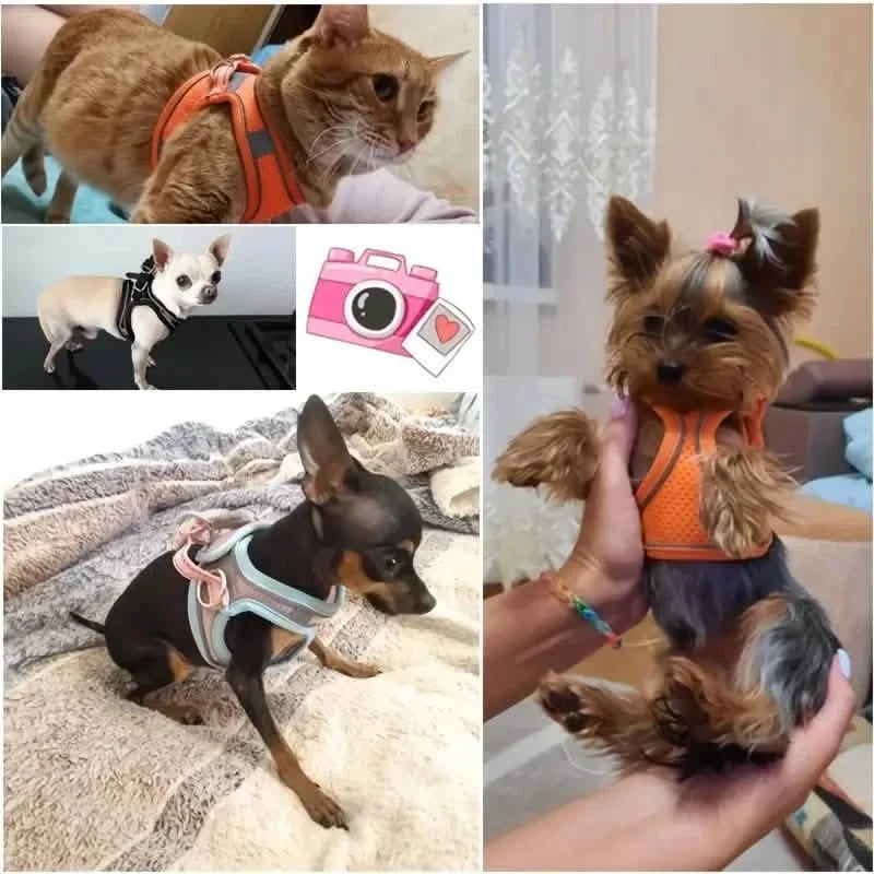 Reflective Dogs Harness with Leash Adjustable Harness Vest Breathable Collars Pet Supplies - Tophatter Daily Deals