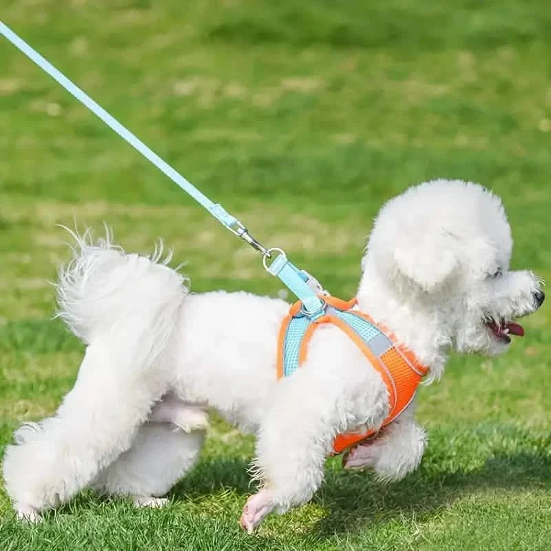 Reflective Dogs Harness with Leash Adjustable Harness Vest Breathable Collars Pet Supplies - Tophatter Daily Deals