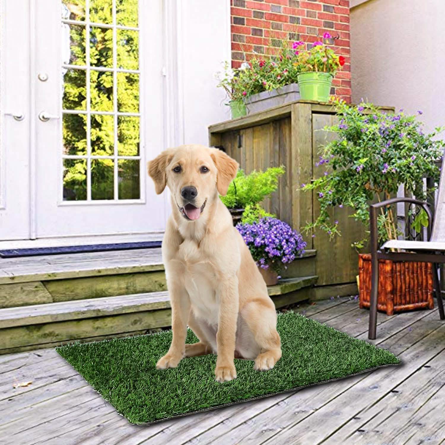 Replacement Grass Mat for Pet Potty Tray Pet Supplies - Tophatter Daily Deals