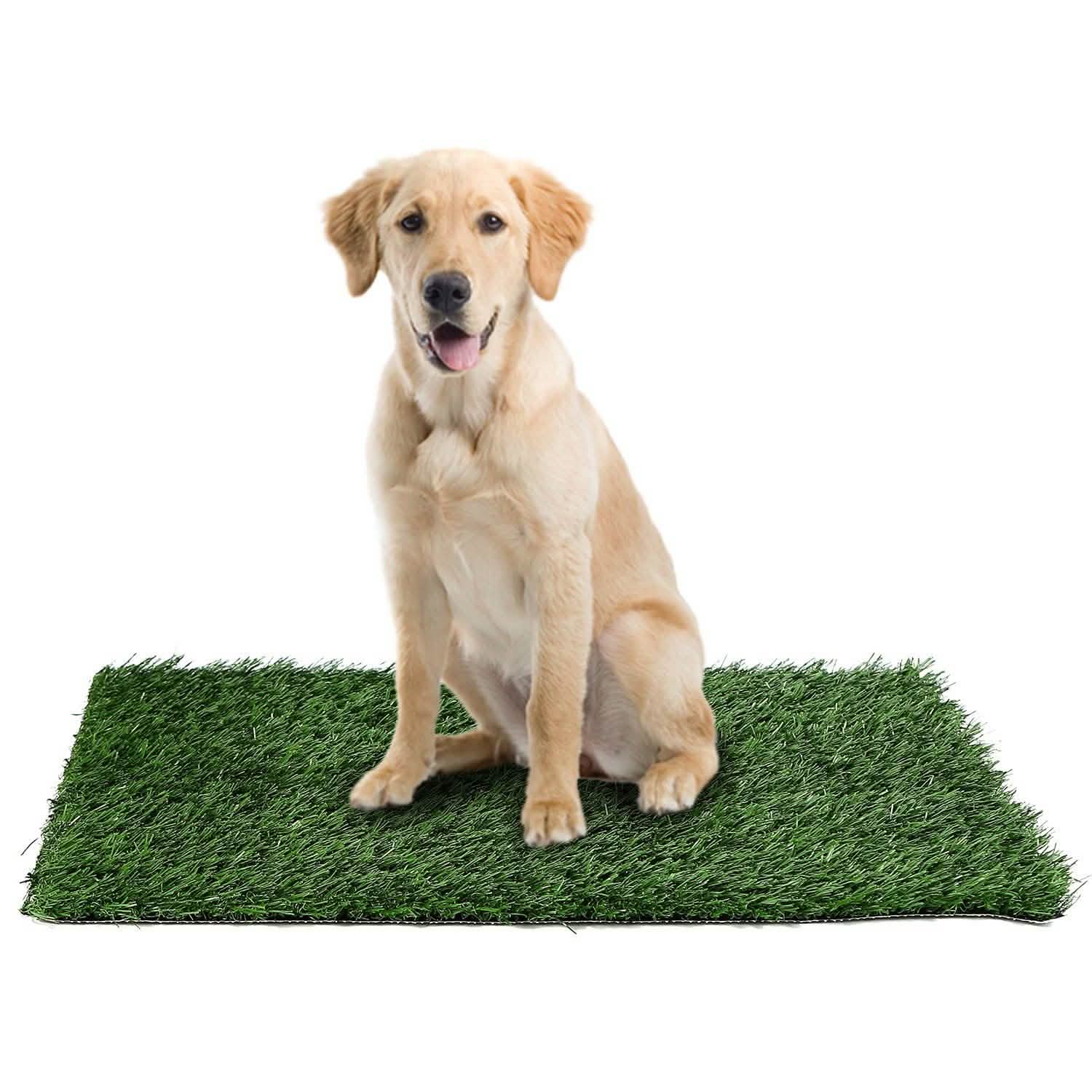 Replacement Grass Mat for Pet Potty Tray Pet Supplies - Tophatter Daily Deals