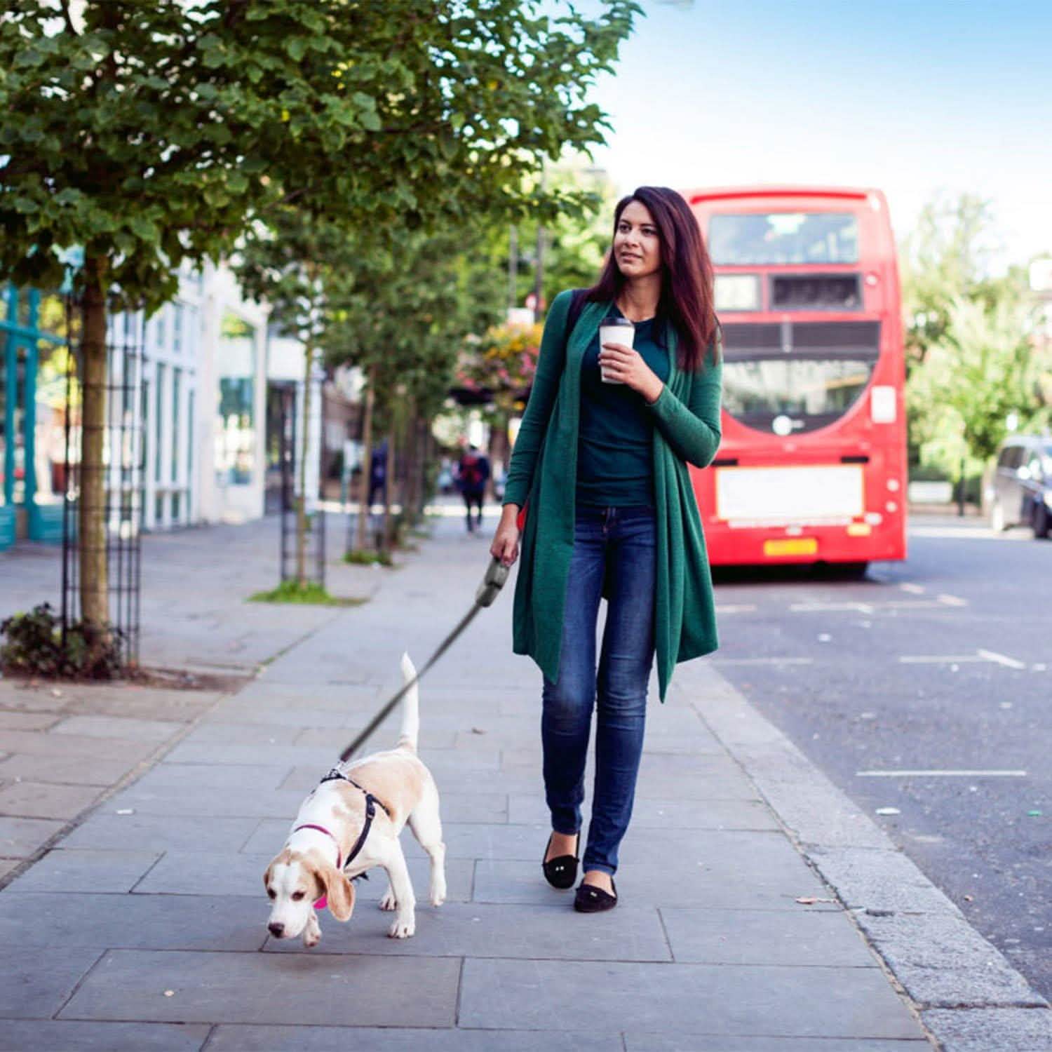 Retractable Dog Leash 16ft Extendable Range Heavy Duty Dog Walking Leash Pet Supplies - Tophatter Daily Deals