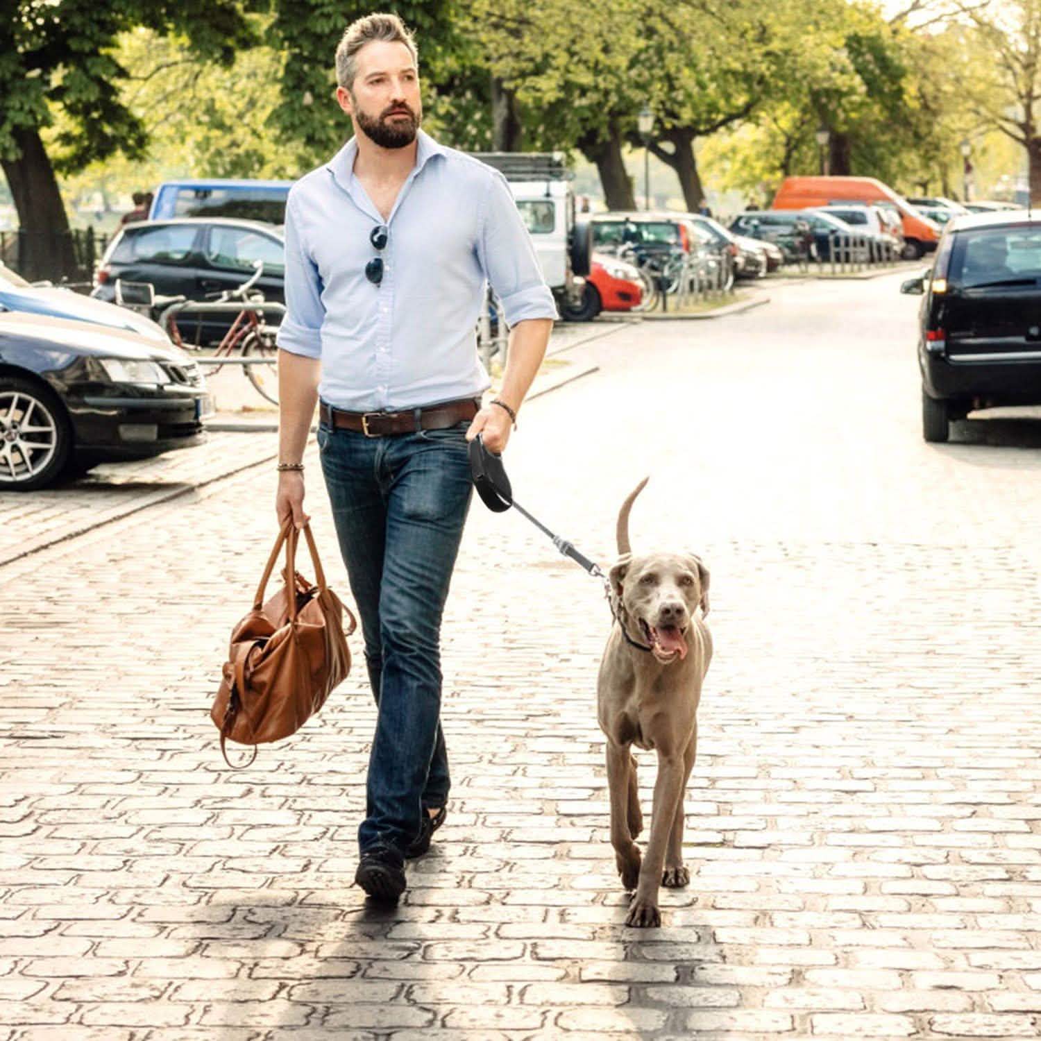 Retractable Dog Leash 16ft Extendable Range Heavy Duty Dog Walking Leash Pet Supplies - Tophatter Daily Deals