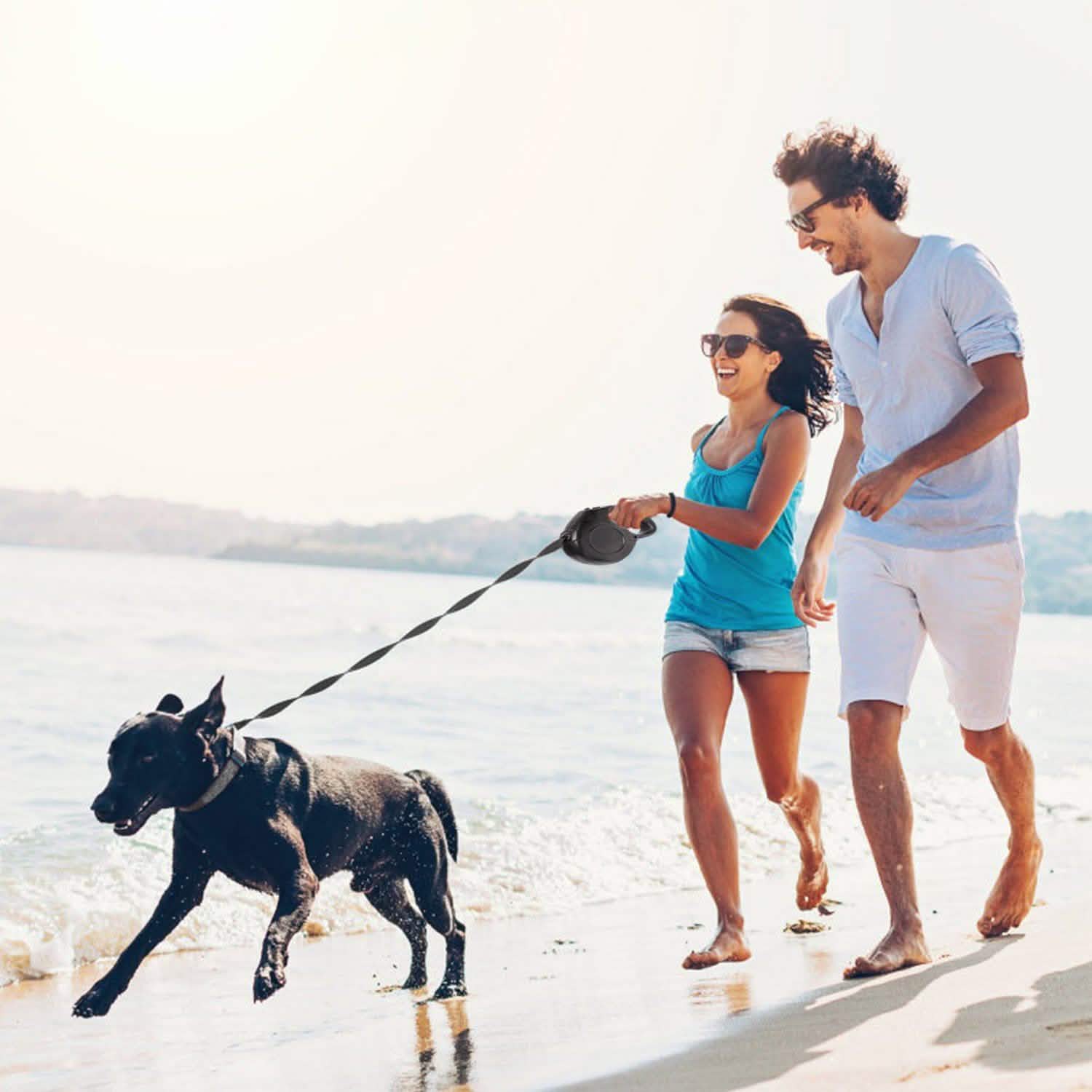 Retractable Dog Leash 16ft Extendable Range Heavy Duty Dog Walking Leash Pet Supplies - Tophatter Daily Deals