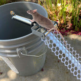 Roll Trap Log Rolling Mouse Catcher with 19.69" Mesh Ramp Pest Control - Tophatter Daily Deals