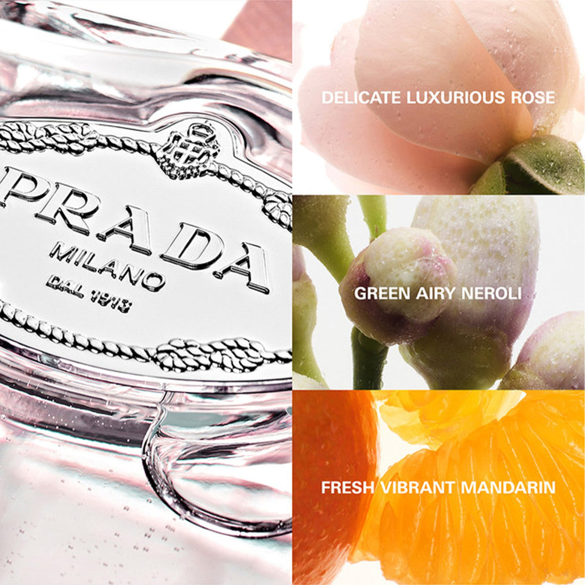 Prada Les Infusion de Rose Eau De Parfum 100ml Spray - Tophatter Daily Deals