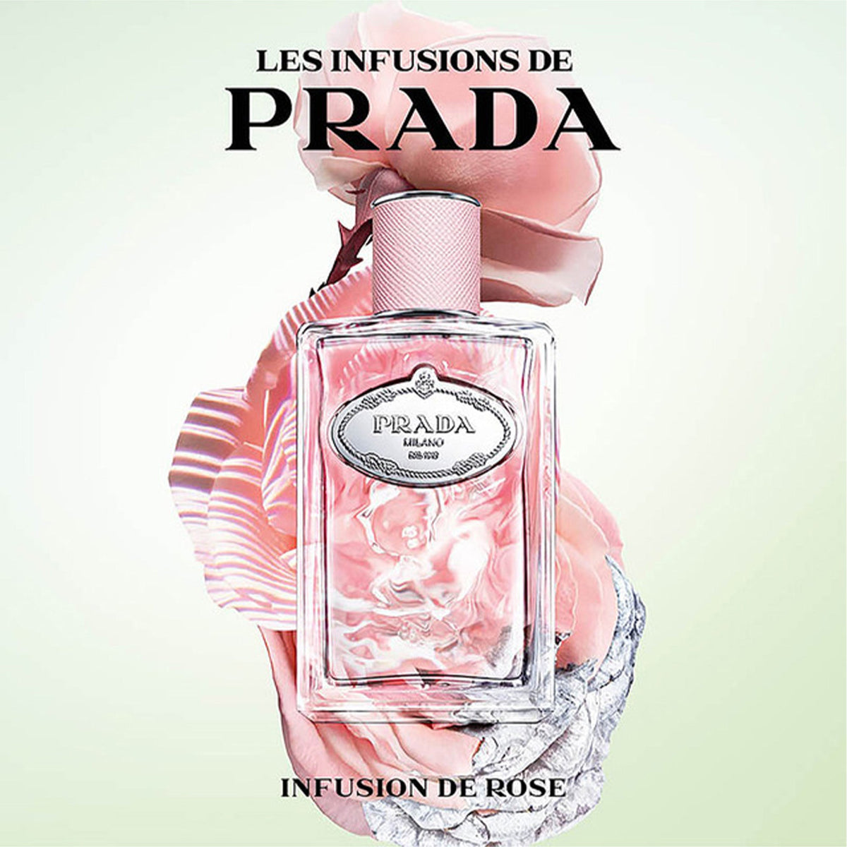 Prada Les Infusion de Rose Eau De Parfum 100ml Spray - Tophatter Daily Deals