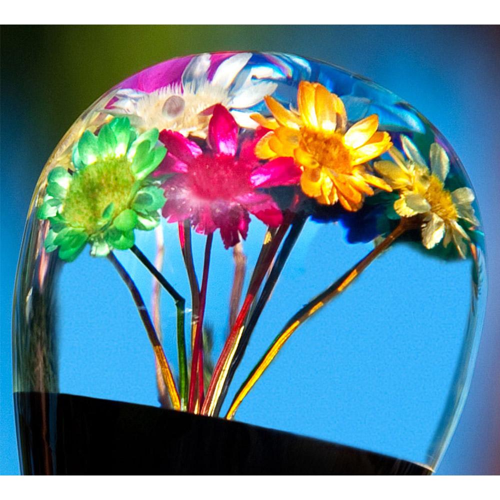 Real Dried Flower Clear Lucite Knob Stick: Beechwood Shaft Ball Clock Handle Walking Canes - Tophatter Daily Deals