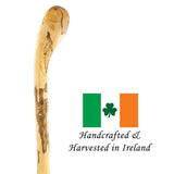 Authentic Hazel Walking Stick from Ireland Irish Blackthorn Canes - Tophatter Daily Deals