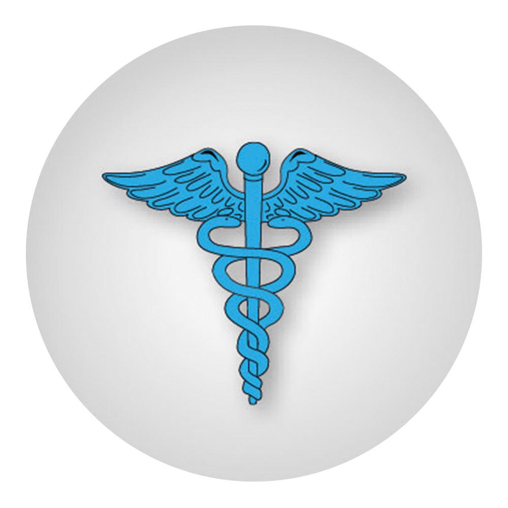 Medical Doctor Caduceus Flat Top Stick: Beechwood Shaft Pewter Military Walking Canes - Tophatter Daily Deals