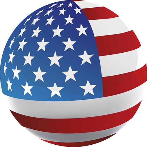 Patriotic U.S.A Flag Flat Top Stick: Beechwood Shaft Pewter Military Walking Canes - Tophatter Daily Deals