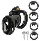 Hard Stop Double Ring Chastity Cage Black > Bondage Gear > Male Chastity - Tophatter Daily Deals
