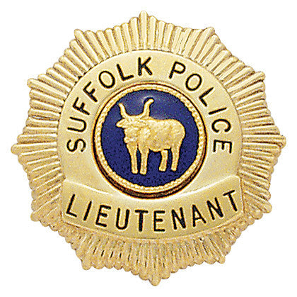 S286 - Custom Engraved Badge - Tophatter's Weapons'N'Deals NY and NJ Mini Police Badges - Tophatter Daily Deals