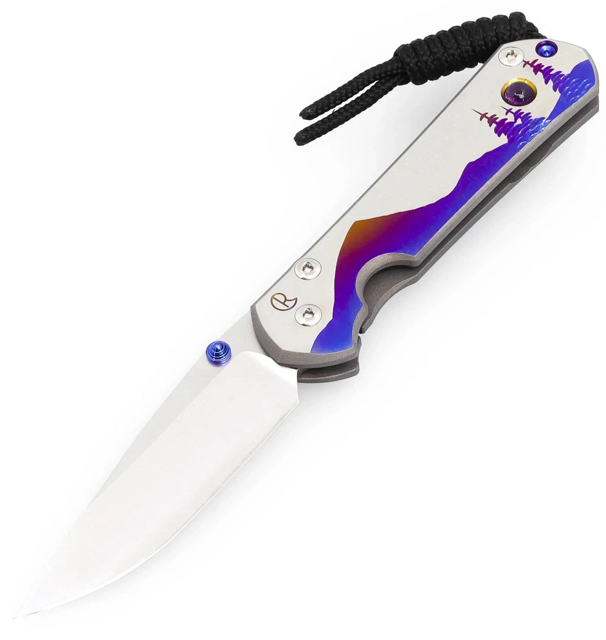 Chris Reeve Knives Small Sebenza 31 - Unique Graphic "Night Sky" - Drop Point - S31-1408 FOLDING KNIVES - Tophatter Daily Deals