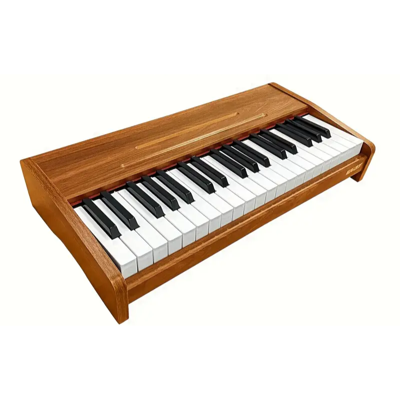 Electronic Keyboard Piano for Beginners Musical Instruments - Tophatter Daily Deals