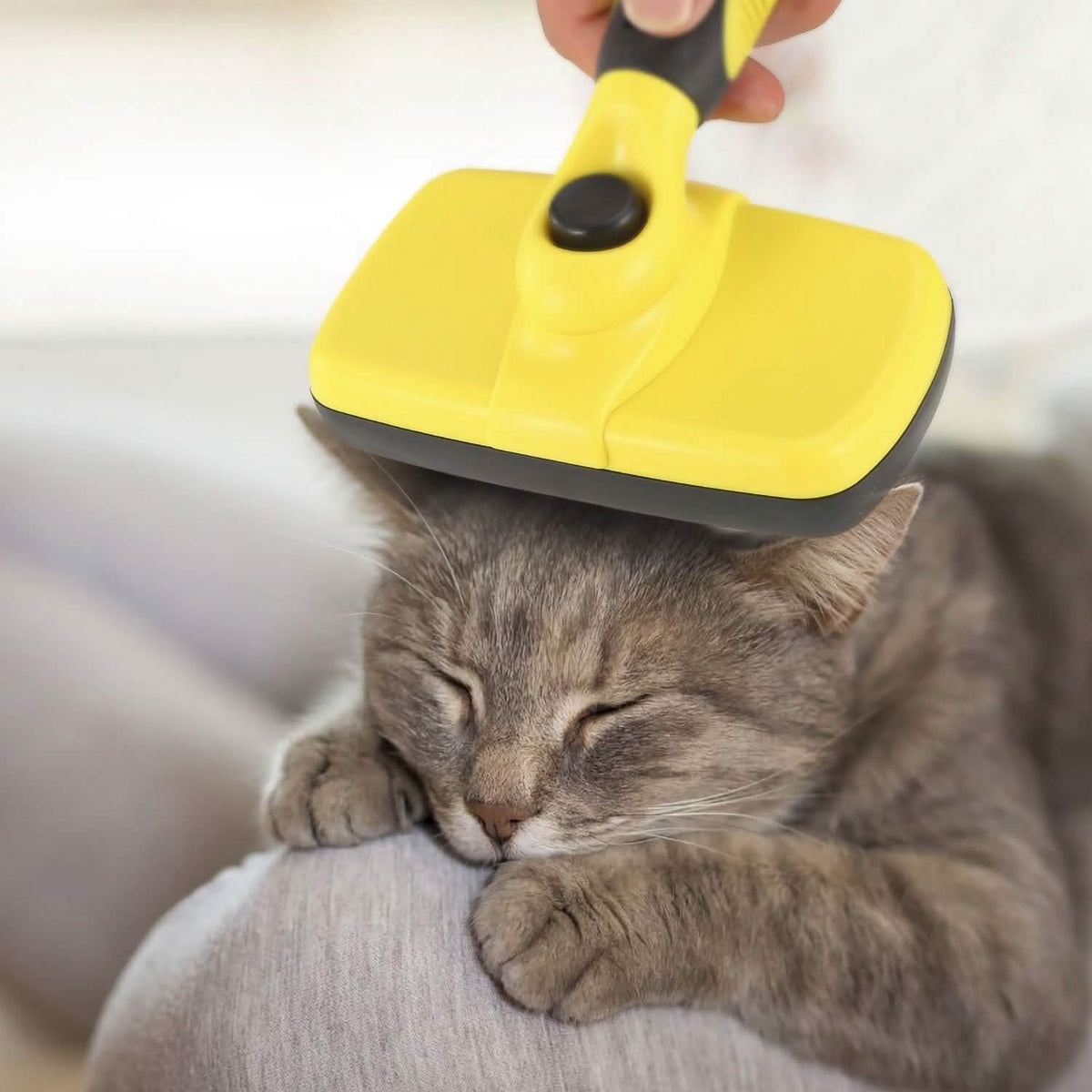 Self Cleaning Slicker Brush Pets Pet Supplies - Tophatter Daily Deals