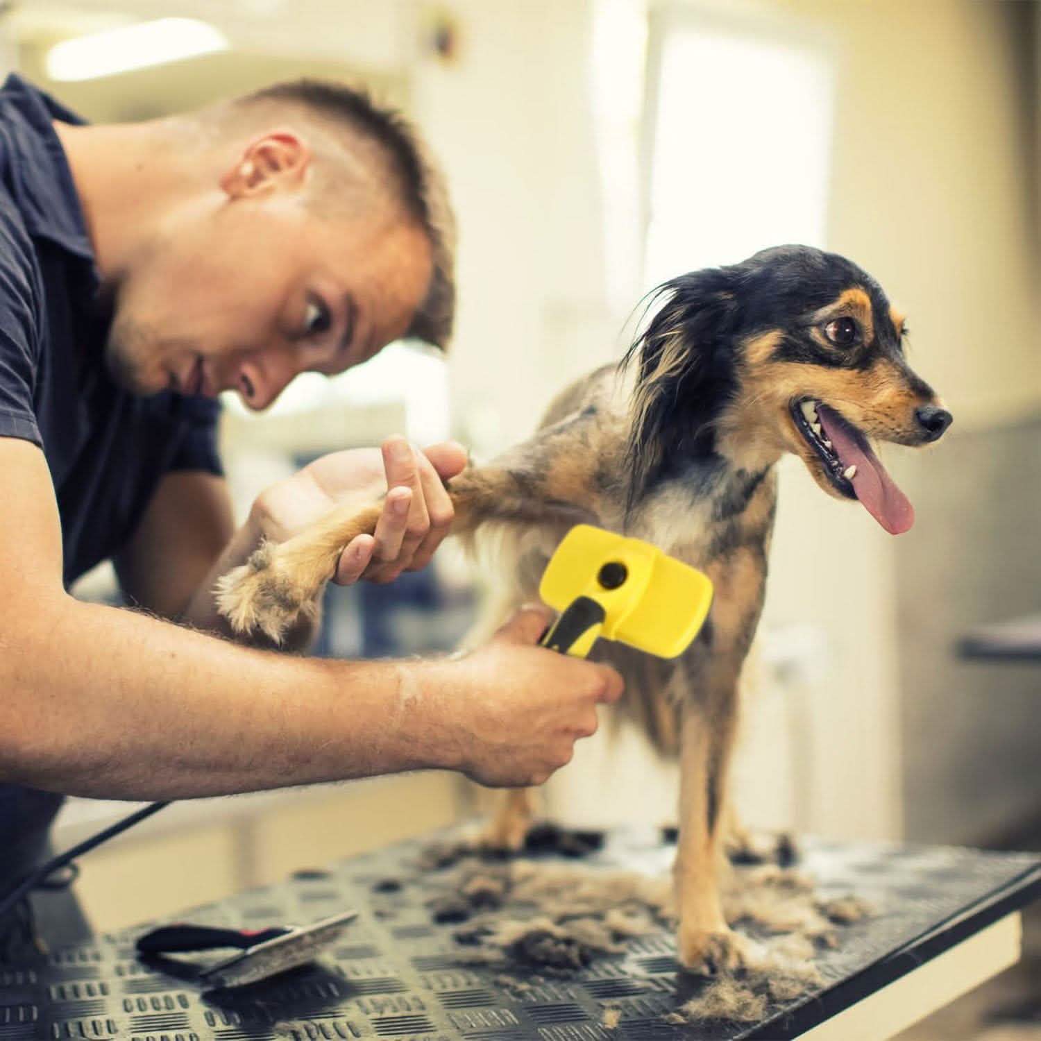 Self Cleaning Slicker Brush Pets Pet Supplies - Tophatter Daily Deals