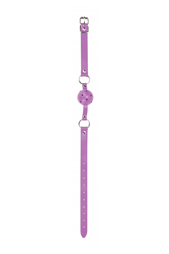 Ouch Ball Gag - Purple Free Gifts - Tophatter Daily Deals