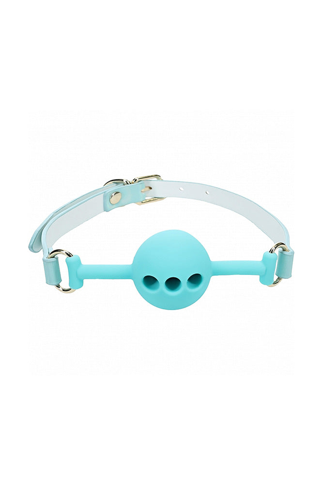Ouch International - Paris Collection - Silicone Ball Gag - Various Colors Blue BDSM - Tophatter Daily Deals
