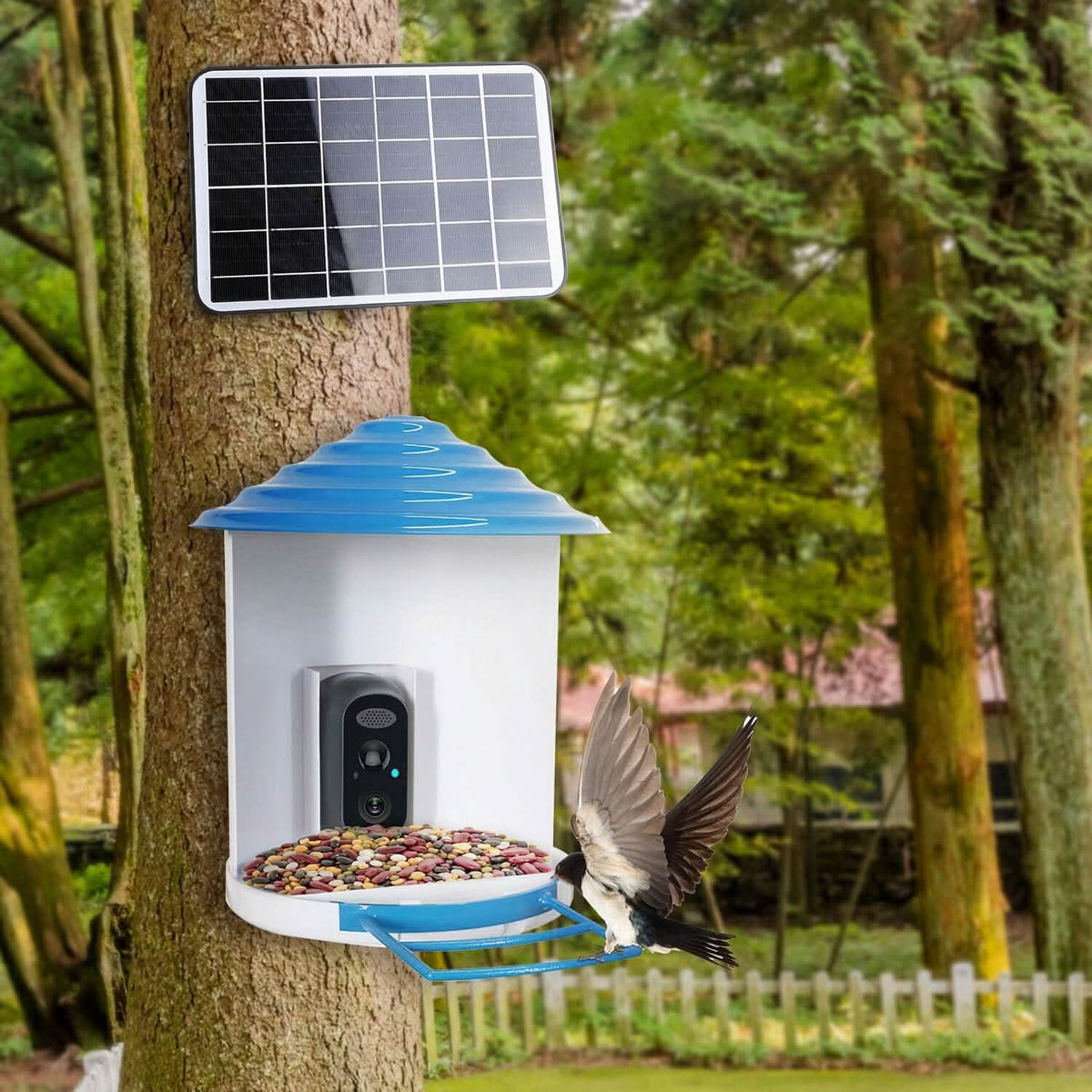 Smart Bird Feeder with Solar Powered Camera 1080P HD AI Identify PIR Pet Supplies - Tophatter Daily Deals