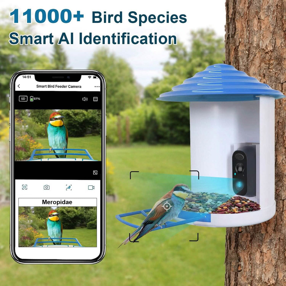 Smart Bird Feeder with Solar Powered Camera 1080P HD AI Identify PIR Pet Supplies - Tophatter Daily Deals