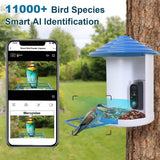 Smart Bird Feeder with Solar Powered Camera 1080P HD AI Identify PIR Pet Supplies - Tophatter Daily Deals