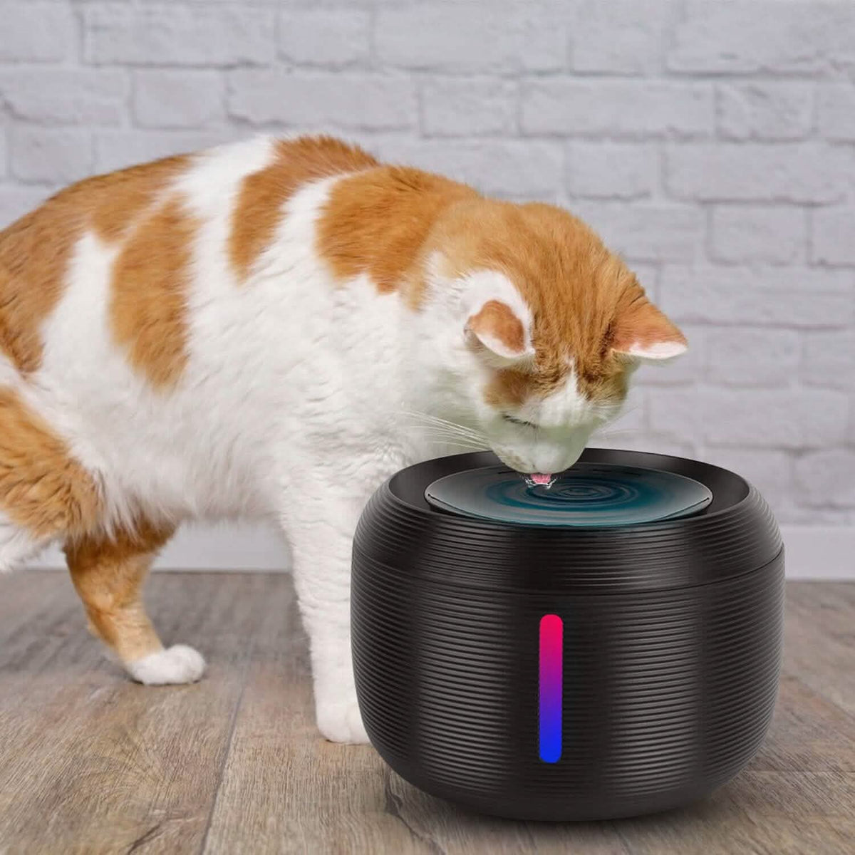 Smart Pet Drinking Fountain with LED Light 7-Pack Replaceable Water Filters Pet Supplies - Tophatter Daily Deals