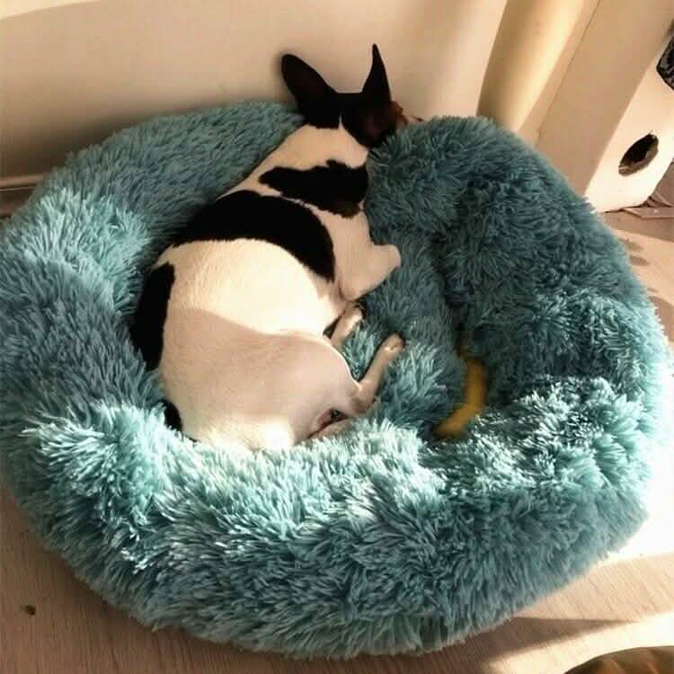 Soft Winter Warm Plush Calming Pet Bed Pet Beds - Tophatter Daily Deals