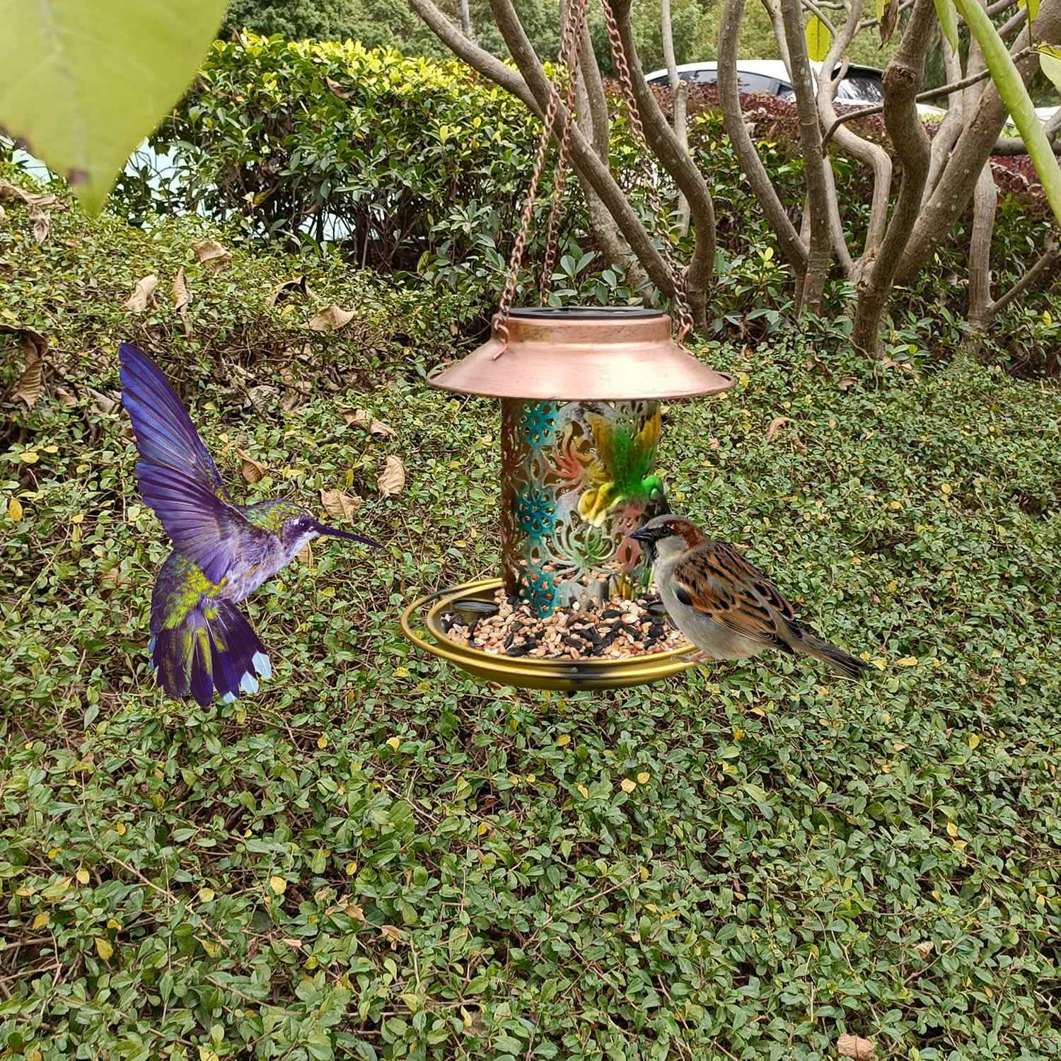Solar Decorative Hanging Bird Feeder Lantern Garden & Patio - Tophatter Daily Deals