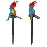 Solar Powered Parrot Garden Light IP65 Waterproof LED Solar Outdoor Lights - Tophatter Daily Deals