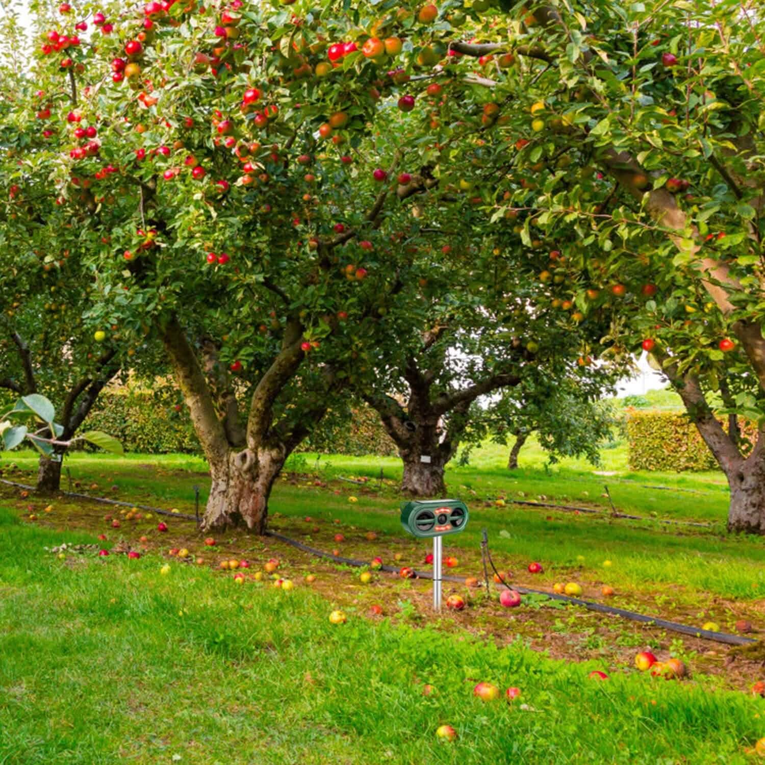 Solar Ultrasonic Animal Repeller Motion Sensor Pest Control - Tophatter Daily Deals