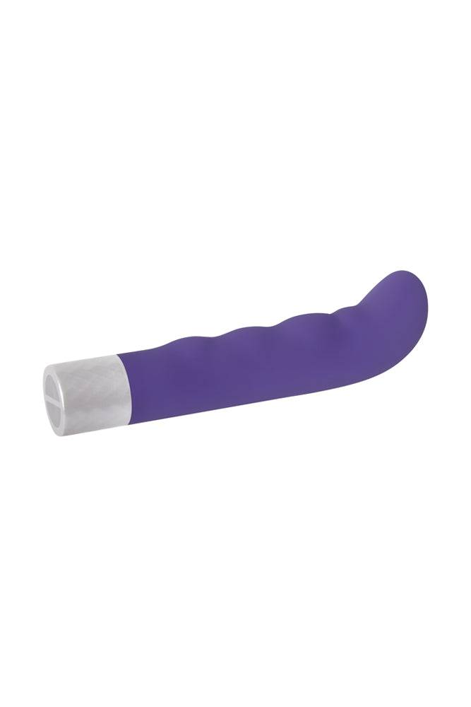 Evolved - Spark G-Spot Vibrator - Purple Sex Toy - Tophatter Daily Deals