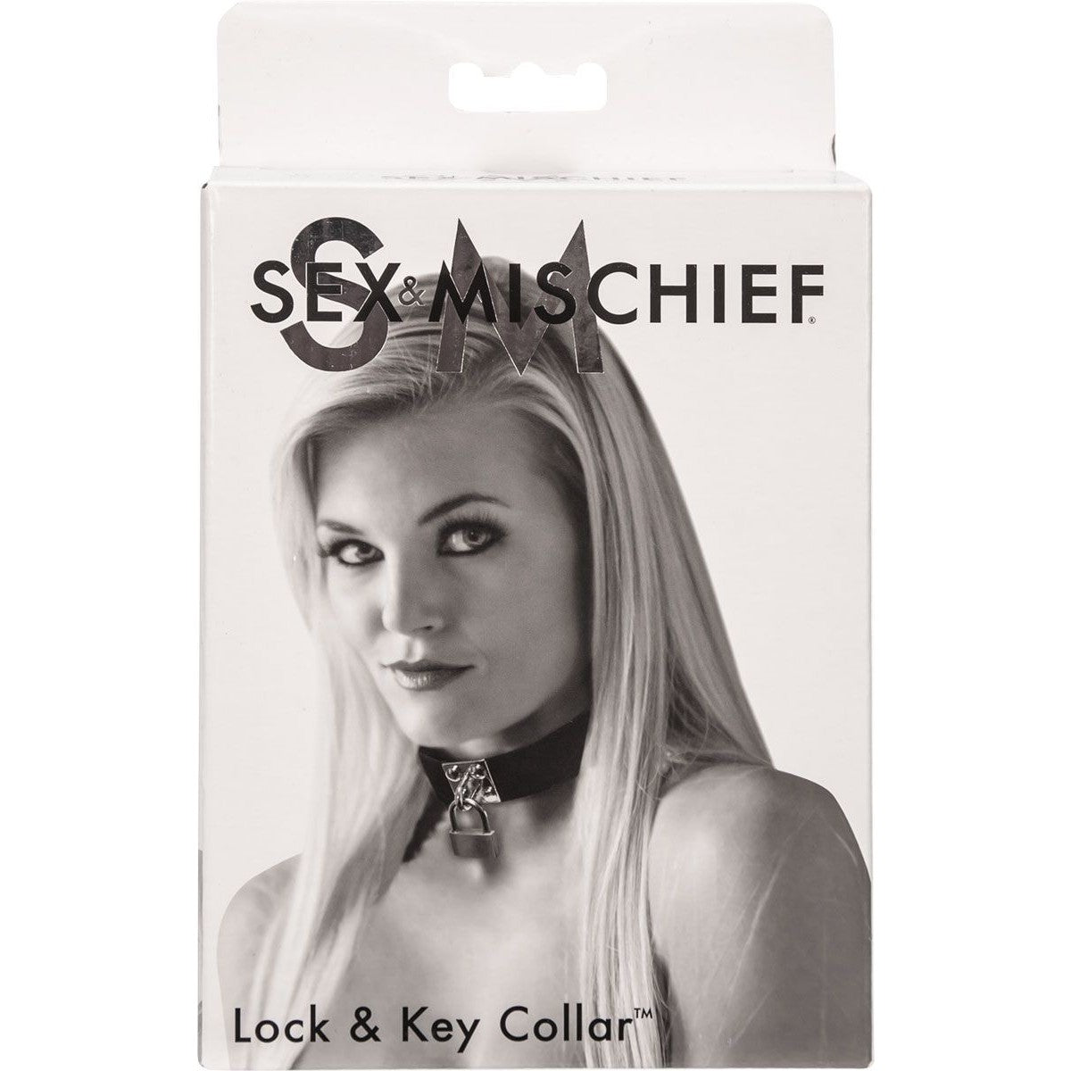 Sex & Mischief Lock & Key Collar Collar - Tophatter Daily Deals