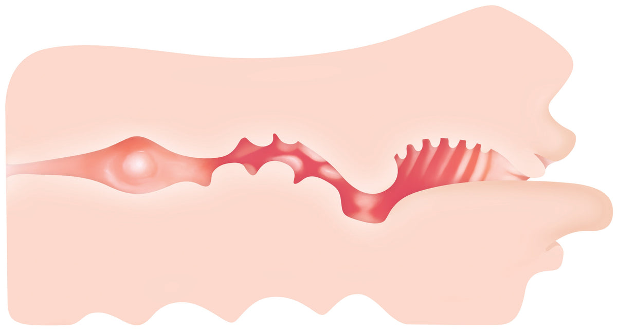 Zero Tolerance Real Mouth Masturbator 6.5 Inch – Realistic Male Masturbator > Sex Toys For Men > Masturbators > Manual - Tophatter Daily Deals