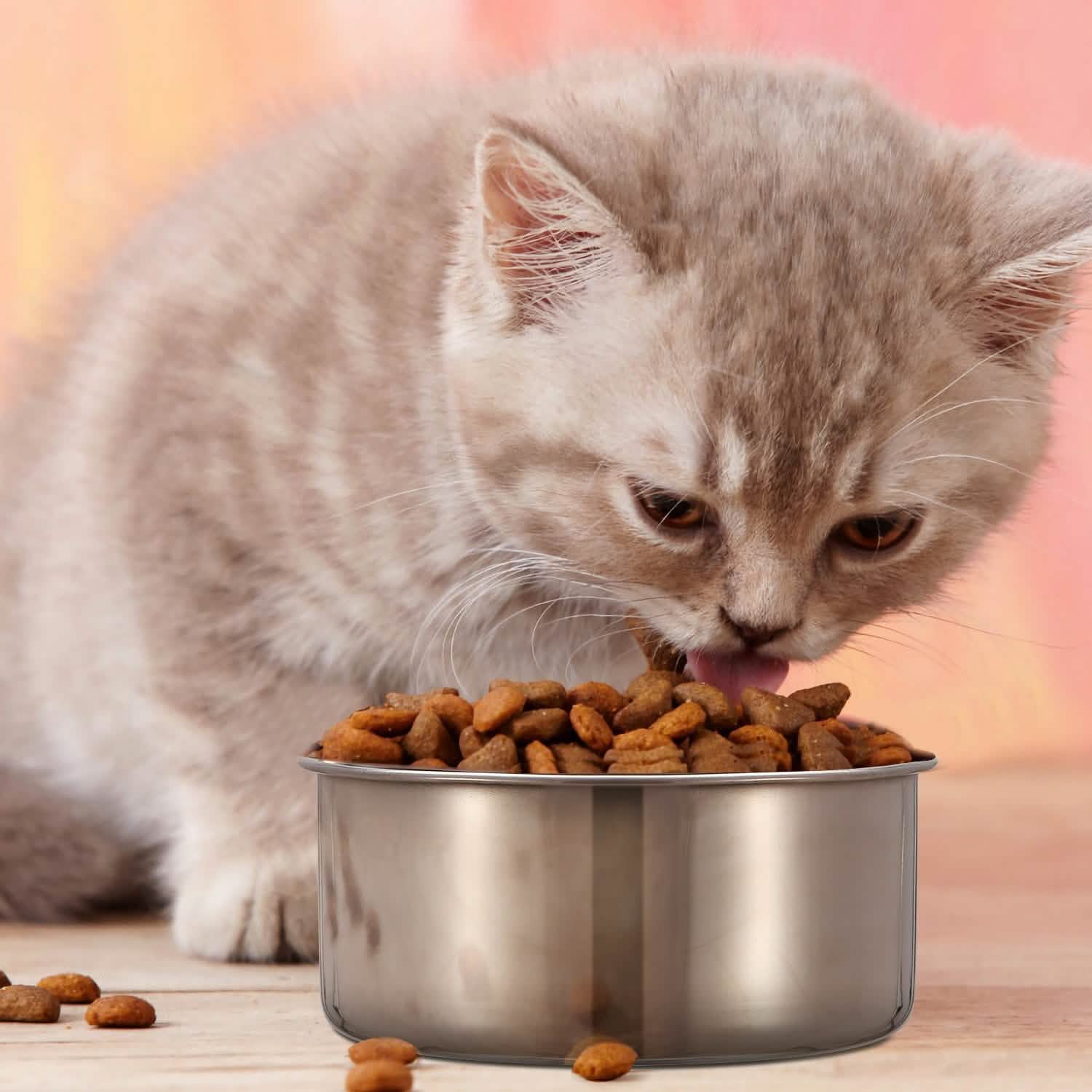 Stainless Steel Dog Pet Bowl Pet Supplies - Tophatter Daily Deals