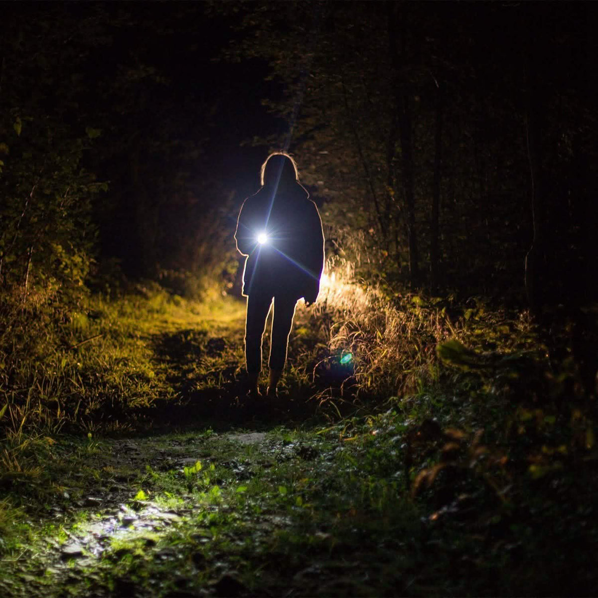 Tactical Military LED Flashlight Tactical & Self Defense - Tophatter Daily Deals