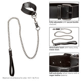Euphoria Collection Collar With Chain Leash Black Velvet and Vegan Leather > Bondage Gear > Collars & Leashes - Tophatter Daily Deals