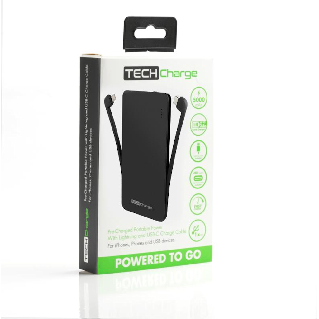 TechCharge Lightning/Type C Charger Phone Charger - Tophatter Daily Deals