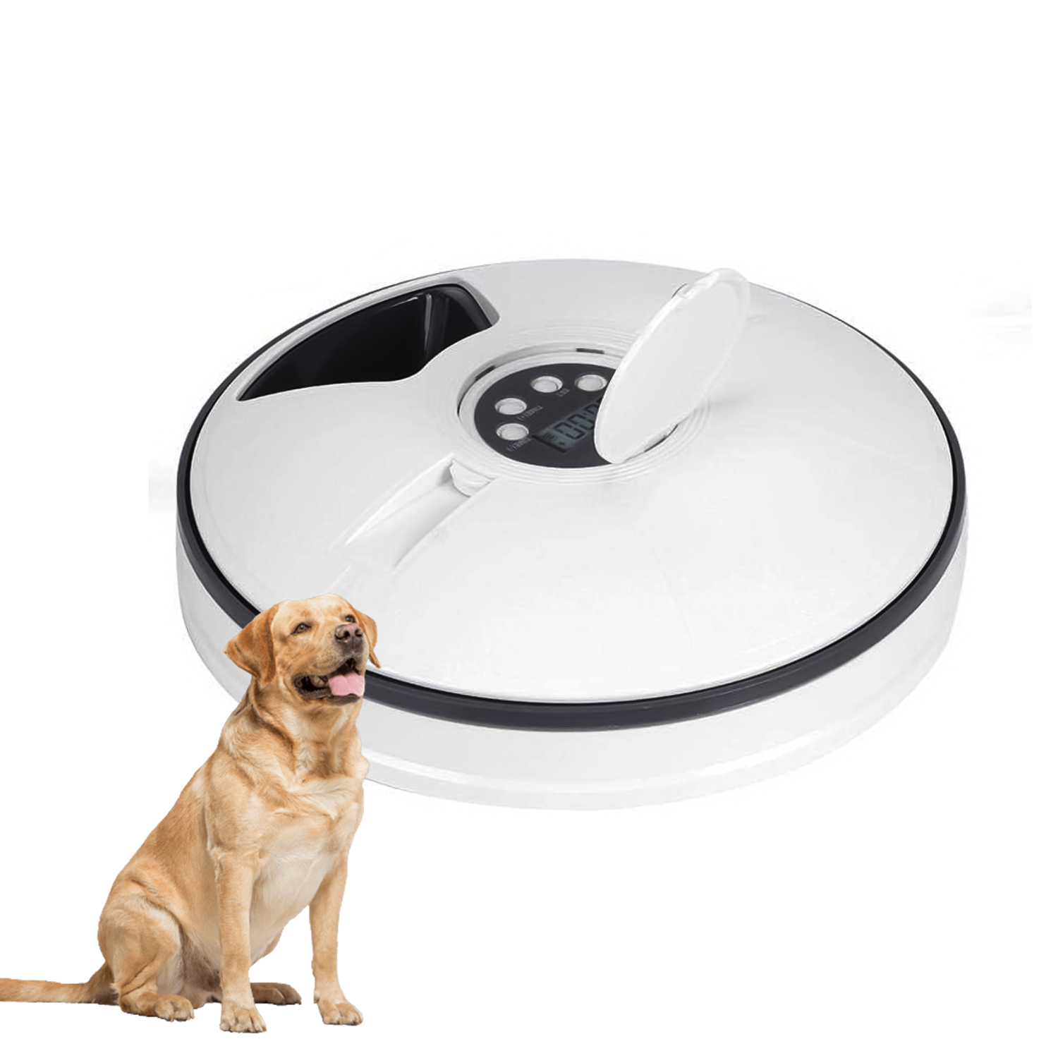 Timed Pet Feeder – Automatic & Scheduled Meal Dispenser for Healthy Pet Feeding Pet Products - Tophatter Daily Deals