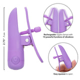 Nipple Play Nipplettes (Purple) – Waterproof Rechargeable 2.75 Inch Nipple Clamps > Sex Toys > Nipple Clamps - Tophatter Daily Deals